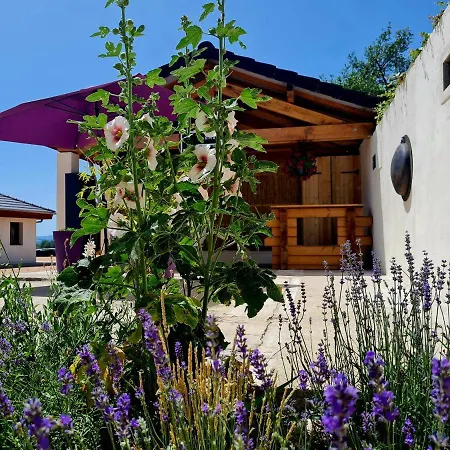 D'hotes La Ganivelle * Servant