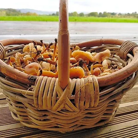 D'hotes La Ganivelle Bed & Breakfast
